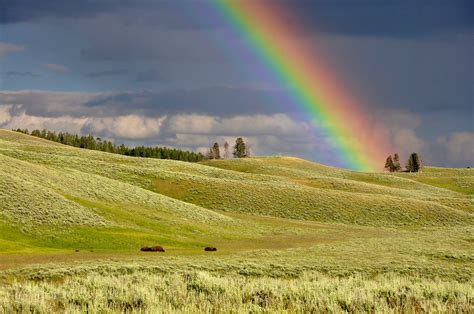 彩虹wallpaper|超过 300000 张关于“Rainbow Wallpaper”和“彩虹”的免。